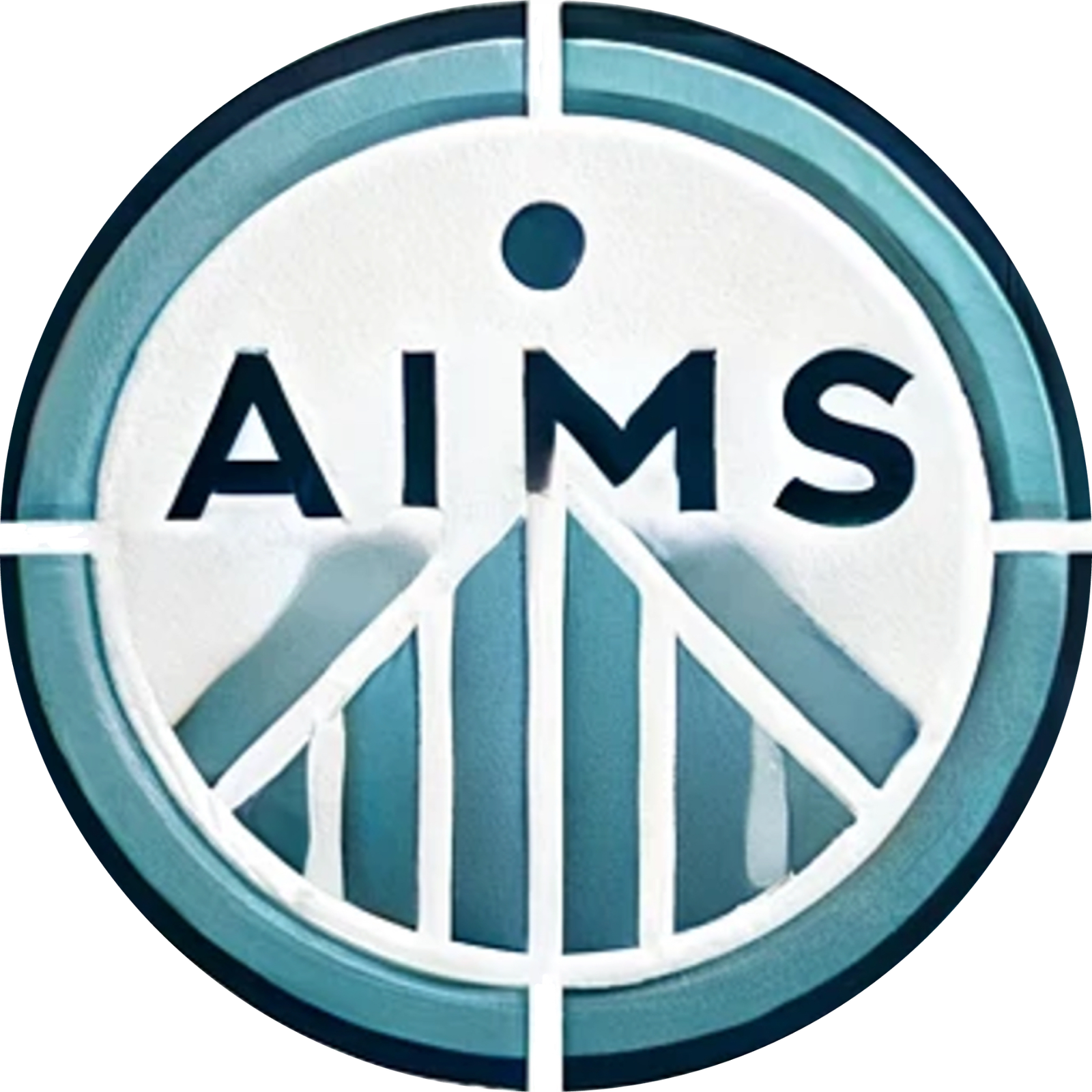 AIMS TAX GROUP